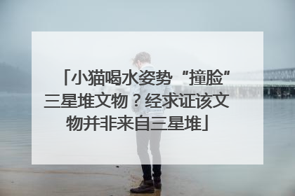 小猫喝水姿势“撞脸”三星堆文物？经求证该文物并非来自三星堆